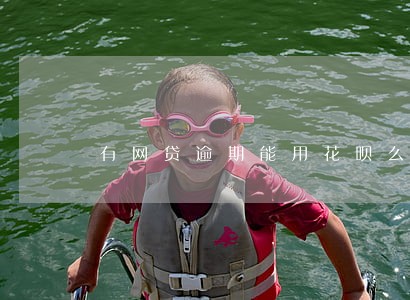 有网贷逾期能用花呗么 有网贷逾期能用花呗么