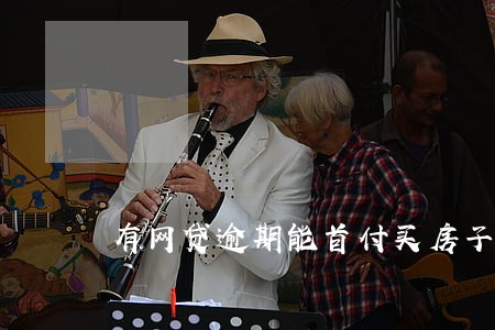 有网贷逾期能首付买房子 有网贷逾期能首付买房子