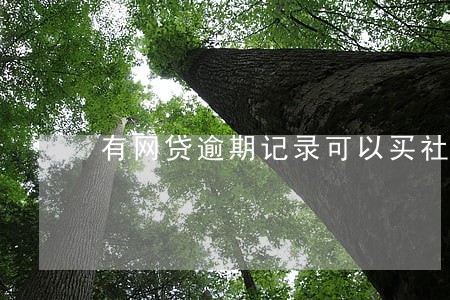 有网贷逾期记录可以买社保吗 有网贷逾期记录可以买社保吗