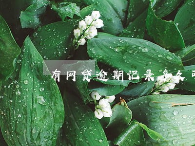 有网贷逾期记录多久可以办房贷 有网贷逾期记录多久可以办房贷