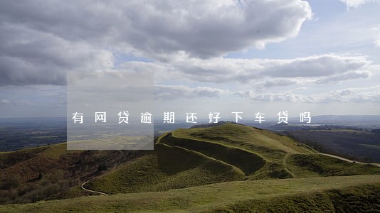 有网贷逾期还好下车贷吗 有网贷逾期还好下车贷吗