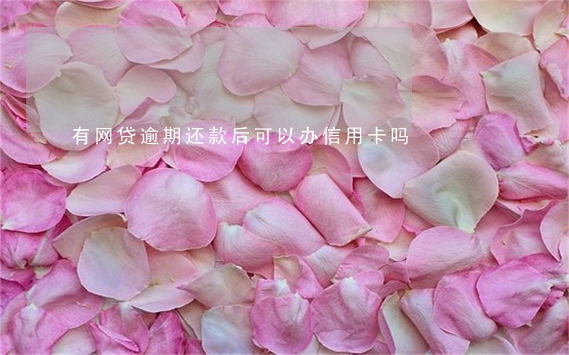 有网贷逾期还款后可以办信用卡吗 有网贷逾期还款后可以办信用卡吗