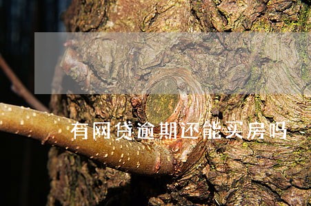 有网贷逾期还能买房吗 有网贷逾期还能买房吗