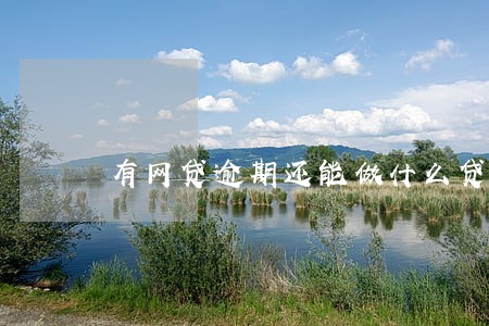 有网贷逾期还能做什么贷款 有网贷逾期还能做什么贷款