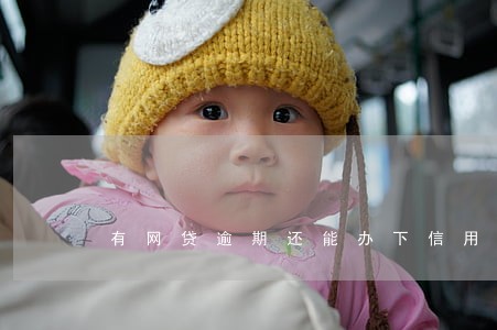 有网贷逾期还能办下信用卡吗 有网贷逾期还能办下信用卡吗