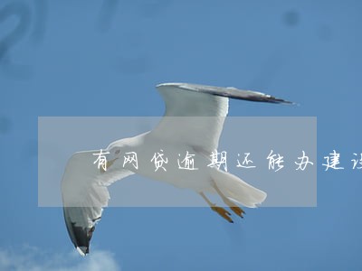 有网贷逾期还能办建设银行卡吗 有网贷逾期还能办建设银行卡吗