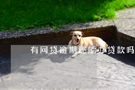 有网贷逾期还能办贷款吗