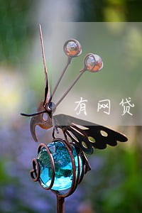 有网贷逾期还能当公司法人代表吗 有网贷逾期还能当公司法人代表吗