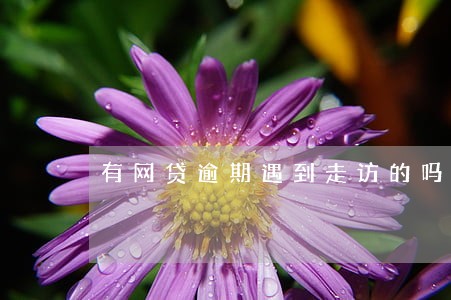 有网贷逾期遇到走访的吗 有网贷逾期遇到走访的吗