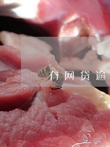 有网贷逾期银行面签怎么回答