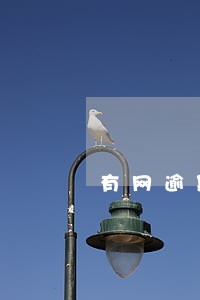 有网逾期贷可以贷款买车吗 有网逾期贷可以贷款买车吗