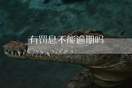 有罚息不能逾期吗 有罚息不能逾期吗