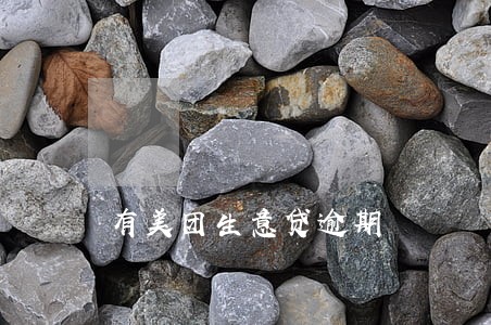有美团生意贷逾期 有美团生意贷逾期