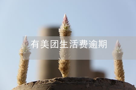 有美团生活费逾期 有美团生活费逾期