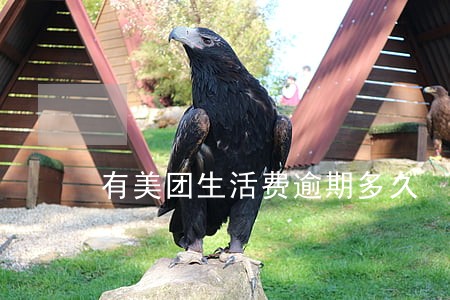 有美团生活费逾期多久 有美团生活费逾期多久