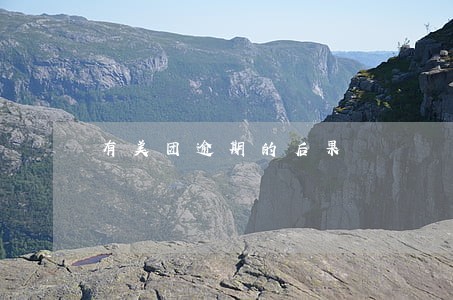 有美团逾期的后果 有美团逾期的后果