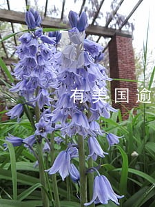 有美国逾期记录怎样才能再回美国 有美国逾期记录怎样才能再回美国
