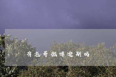 有老哥微博逾期吗