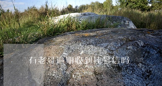有老哥逾期收到挂号信吗 有老哥逾期收到挂号信吗