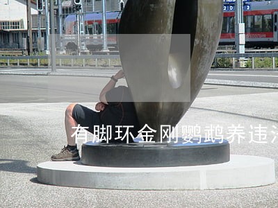 有脚环金刚鹦鹉养违法马 有脚环金刚鹦鹉养违法马