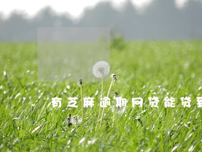 有芝麻逾期网贷能贷到吗 有芝麻逾期网贷能贷到吗