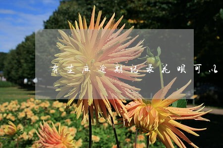 有芝麻逾期记录花呗可以提额吗 有芝麻逾期记录花呗可以提额吗