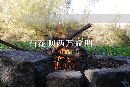 有花呗两万逾期 有花呗两万逾期