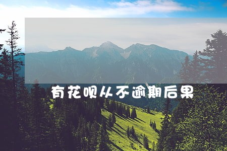 有花呗从不逾期后果
