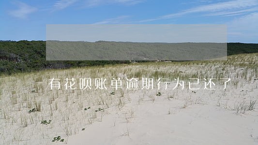 有花呗账单逾期行为已还了