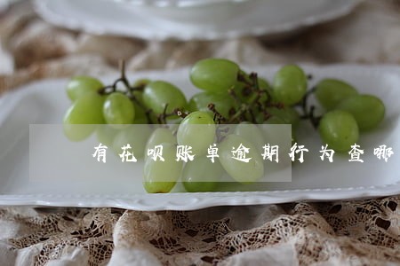 有花呗账单逾期行为查哪里看 有花呗账单逾期行为查哪里看