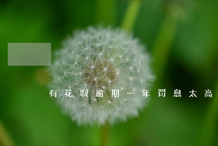 有花呗逾期一年罚息太高怎么办 有花呗逾期一年罚息太高怎么办