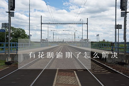 有花呗逾期了怎么解决 有花呗逾期了怎么解决