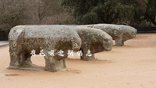 有花呗逾期信息