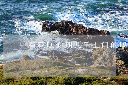 有花呗逾期几千上门的吗 有花呗逾期几千上门的吗