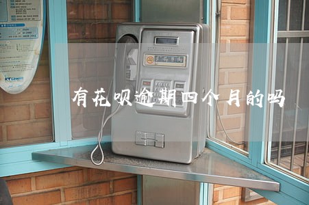 有花呗逾期四个月的吗 有花呗逾期四个月的吗