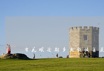 有花呗逾期多久能恢复正常 有花呗逾期多久能恢复正常