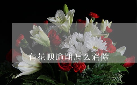 有花呗逾期怎么消除 有花呗逾期怎么消除