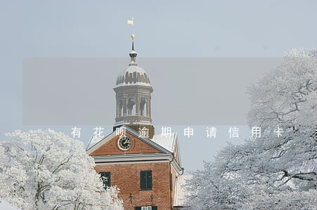 有花呗逾期申请信用卡