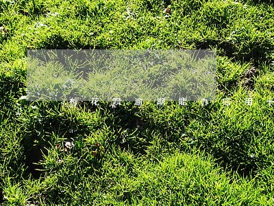 有花呗逾期能办信用卡吗 有花呗逾期能办信用卡吗