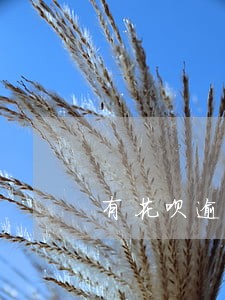有花呗逾期记录能按揭买车吗 有花呗逾期记录能按揭买车吗