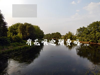 有花呗逾期费吗 有花呗逾期费吗