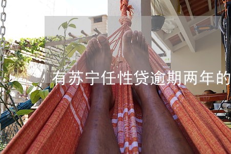有苏宁任性贷逾期两年的吗 有苏宁任性贷逾期两年的吗