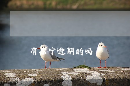 有苏宁逾期的吗 有苏宁逾期的吗