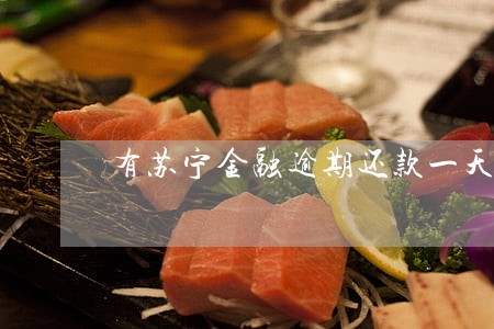 有苏宁金融逾期还款一天 有苏宁金融逾期还款一天
