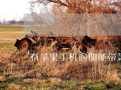 有苹果手机逾期能带款么 有苹果手机逾期能带款么