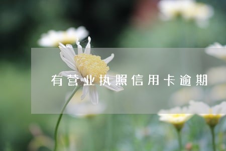 有营业执照信用卡逾期 有营业执照信用卡逾期