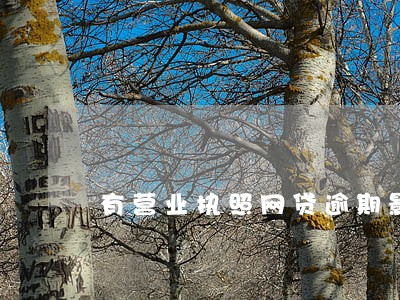 有营业执照网贷逾期影响