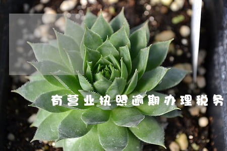 有营业执照逾期办理税务登记 有营业执照逾期办理税务登记