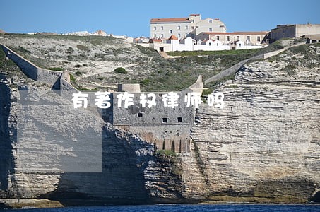 有著作权律师吗 有著作权律师吗