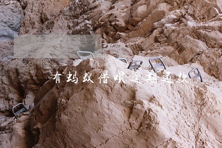 有蚂蚁借呗逾期还款 有蚂蚁借呗逾期还款